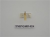 藏品(半明苔蛾)的圖片